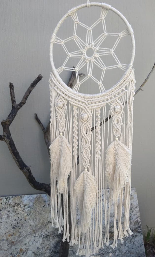 Stars & Feathers